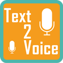 Enter Text To Voice APK