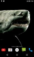 Shark 4K Video Live Wallpaper poster