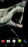 Shark 4K Video Live Wallpaper 截图 1