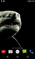 Shark 4K Video Live Wallpaper 截图 3