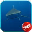 Shark Video Live Wallpaper