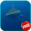 Shark Video Live Wallpaper-APK