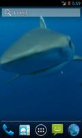 Shark Video Live Wallpaper Screenshot 1