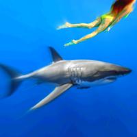 Shark Game پوسٹر