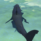 Shark Attack Deep Sea Adventures icono