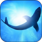 White Shark Video Wallpapers icon