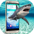 Hungry Shark on Screen angry furious scary joke Zeichen