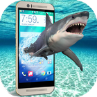 Hungry Shark on Screen angry furious scary joke icône