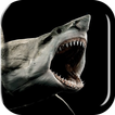 Shark 3D Live Wallpaper