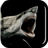 Shark 3D Live Wallpaper icône