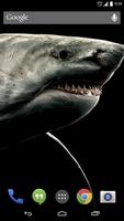 Shark 3D Live Wallpaper Affiche