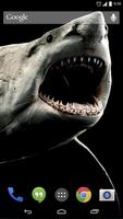 Shark 3D Live Wallpaper Ekran Görüntüsü 2