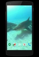 Sharks Video Live Wallpaper capture d'écran 1