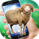 Eid ul Adha Sheep on screen - Eid Animal Simulator APK