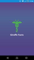 Poster Giraffe Facts