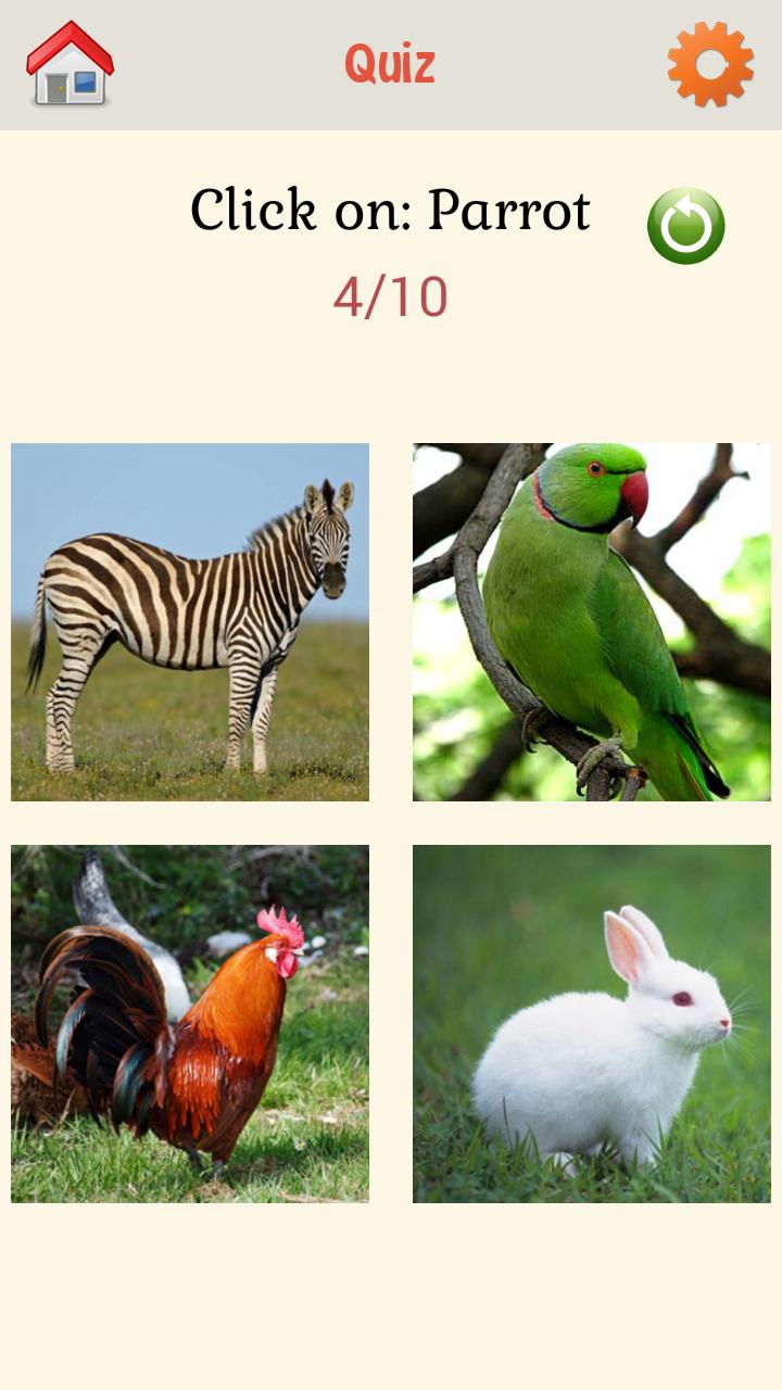 Квиз животные. The most interesting animal Quiz.