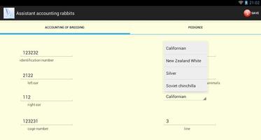 Accounting rabbits Lite syot layar 1