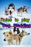 Rules to play Dog Sledding الملصق