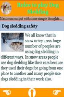 Rules to play Dog Sledding تصوير الشاشة 2