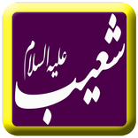ماموستا علي خان    (شعيب)