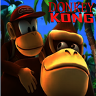 Hint Donkey Kong Country 3 আইকন