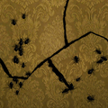 Penny Dreadful: Spiders