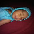 shree