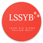 Lean Six Sigma Yellow Belt Pra icône