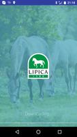 Lipica Guide Poster