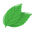 limeMOBILE
