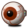 ViCoS Eye