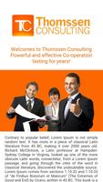 Thomssen Consulting (Demo) poster