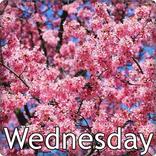 ”Wednesday