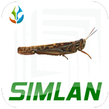 SIMLAN