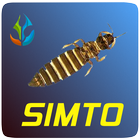 SIMTO icône
