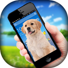 Dog On Screen icon
