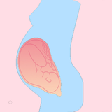 Drug Pregnancy and Lactation icône