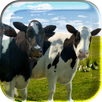 Singing and Dancing Cow LiveWP APK