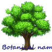 Botanical Names
