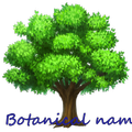 Botanical Names