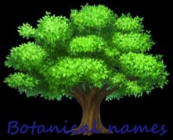 Botanical Names Affiche