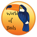 World of Birds