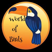 World of Birds Cartaz