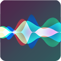 Siri for android