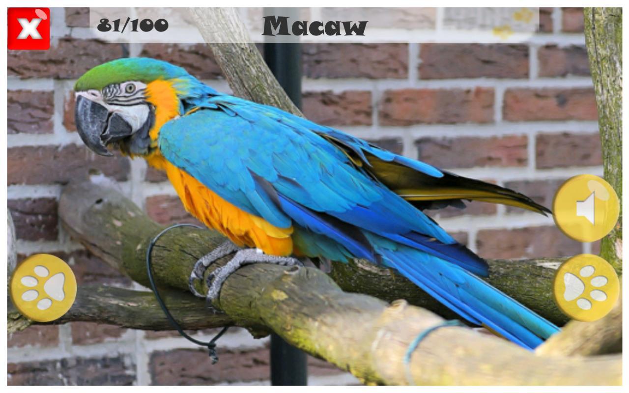 100 animal sounds free APK for Android Download 100 animal sounds free APK for Android Download