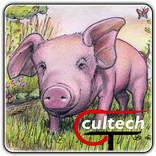 Bedtime stories for kids