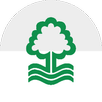 Drevo TDL APK