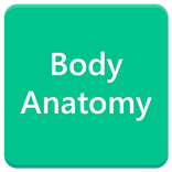Human Body Anatomy 101