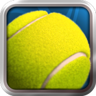 Pro Tennis 2014 icône