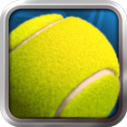 Pro Tennis 2014 ikon